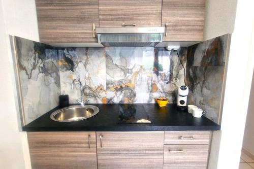 a kitchen with a sink and a counter top at Studio des 3 frontières in Huningue