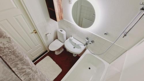 a bathroom with a sink and a toilet and a mirror at Villa Ruths Stay Valta in Kouvola