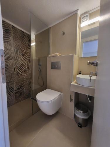 a bathroom with a toilet and a sink at Theros Summer Suite 1 in Nikiti
