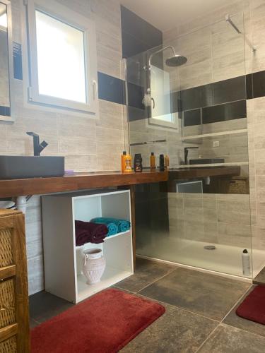 une salle de bain avec un lavabo et une douche dans l'établissement Villa Loredana, à Saint-Germain-des-Prés