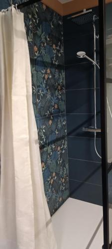 a bathroom with blue walls and a shower curtain at Les roses d'Olga in Aubechies