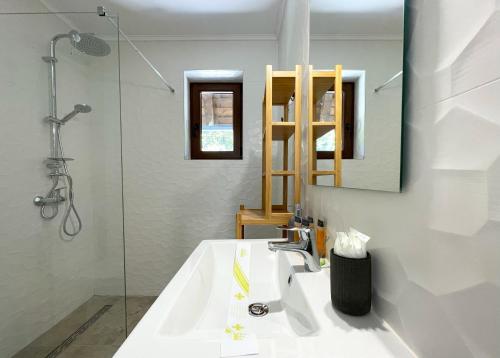 ブシュテニにあるAlpine River Home with Peace and Mountain Viewの洗面台、シャワー、鏡を備えたバスルーム