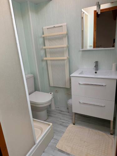 une salle de bain avec un lavabo, des toilettes et un miroir dans l'établissement Les aigrettes, à Saint-Pierre-dʼOléron
