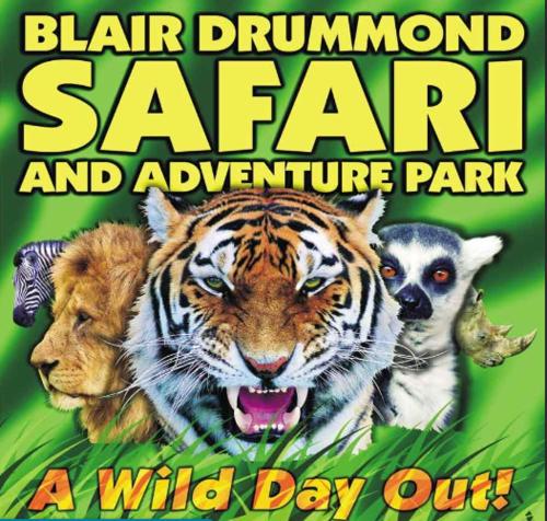 a flyer for a wild day out with a tiger and animals at The Allan Park in Stirling