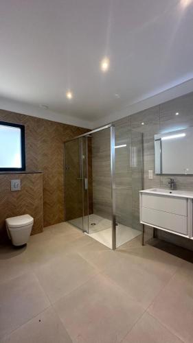 a bathroom with a shower and a toilet and a sink at Torriciola location Casa Rocca in Propriano