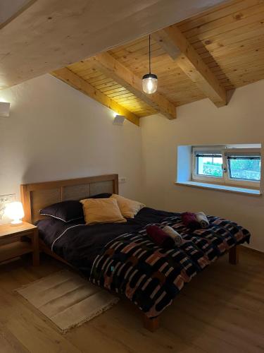 a bedroom with a bed in a room with wooden ceilings at Hiša Blašč Wellness in Kobarid