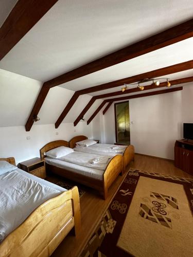 a room with two beds and a tv in it at Pensiunea Dorina in Botiza