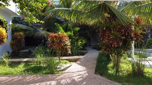 a garden with plants and trees and a pathway at Paje White House in Paje