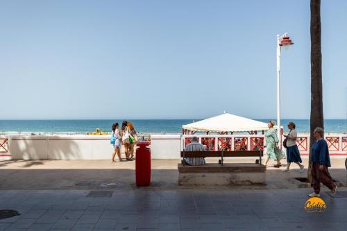 Delfin Azul by Cadiz Time