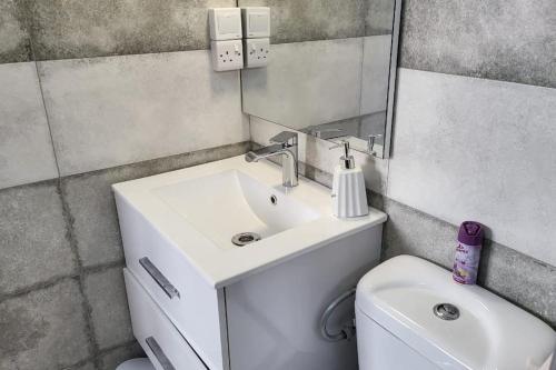 格兰贝伊Fully equipped Studio with pool in Grand Bay的带水槽和马桶的浴室