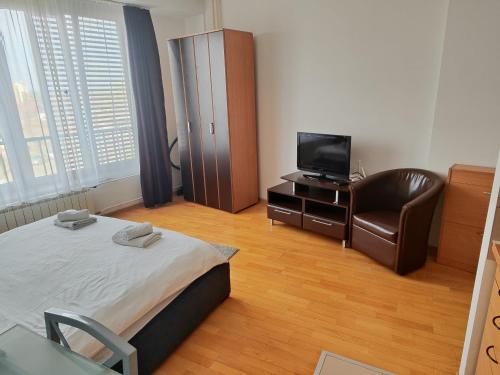 a bedroom with a bed and a chair and a television at Belle Apartments-Elegance Apartments in Belgrade