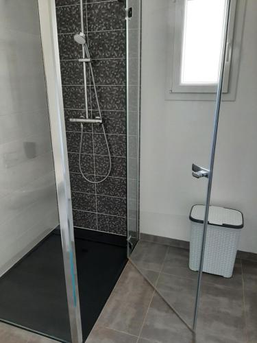 une douche avec une porte vitrée dans une salle de bain dans l'établissement la brasserie, à Migné-Auxances