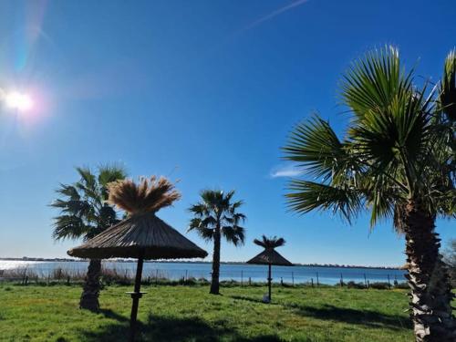 Photo de la galerie de l'établissement Mobil Home 3 Chambres 2 Salle d'eau au calme dans Camping 4 étoiles, à Lattes