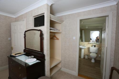 a bathroom with a sink and a toilet and a mirror at Killiane Castle Country House & Farm in Wexford
