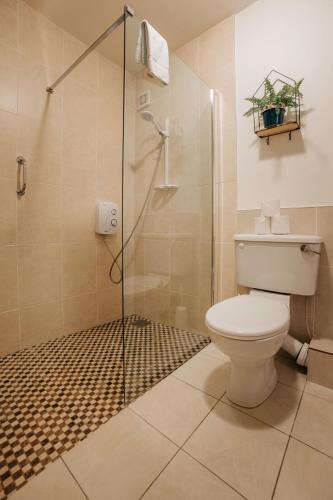 a bathroom with a toilet and a glass shower at Killiane Castle Country House & Farm in Wexford