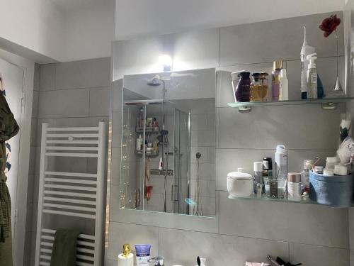 La salle de bains est pourvue d'une douche avec un miroir et un lavabo. dans l'établissement Carnolès, à Roquebrune-Cap-Martin