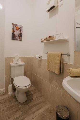 a bathroom with a toilet and a sink at Killiane Castle Country House & Farm in Wexford