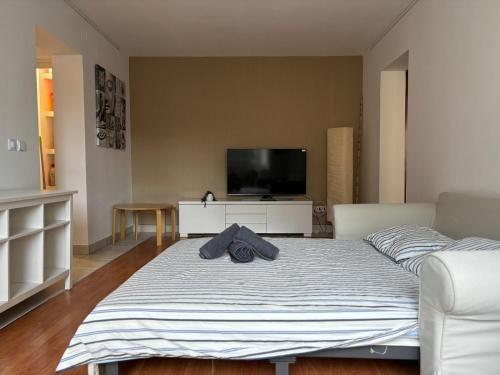 1 dormitorio con 1 cama y TV. en Central Elegance Apartment, en Timisoara