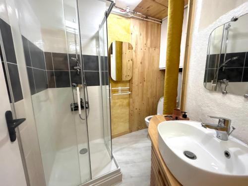 une salle de bain avec un lavabo et une douche dans l'établissement Le Rousseau Studio hyper centre, à Vienne