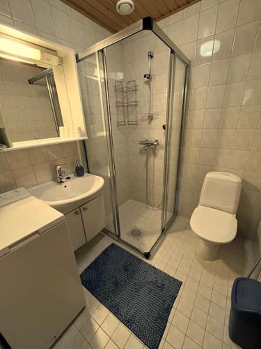 a bathroom with a shower and a toilet and a sink at Lapland Cabin Levi in Kittilä