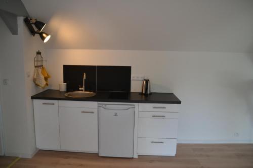 une cuisine avec un évier et un plan de travail dans l'établissement Villa Marie-Louise, à NÃ©ron