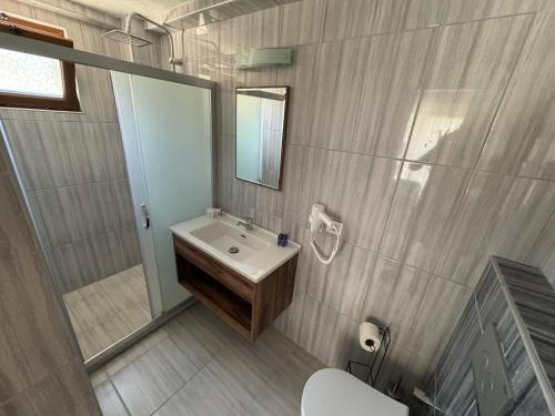 a bathroom with a sink and a mirror and a toilet at Troilus Park House in Eceabat