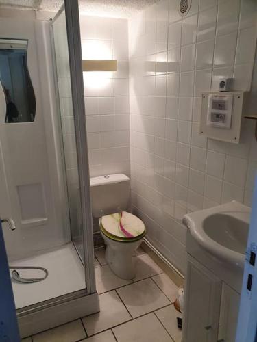 une salle de bain avec une douche, des toilettes et un lavabo dans l'établissement Logement saisonnier la bourboule, à La Bourboule
