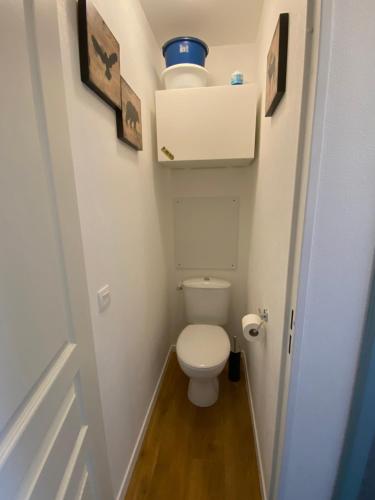 Elle comprend une petite salle de bains pourvue de toilettes avec un bol bleu au plafond. dans l'établissement Appartement pieds des pistes, à Valmeinier