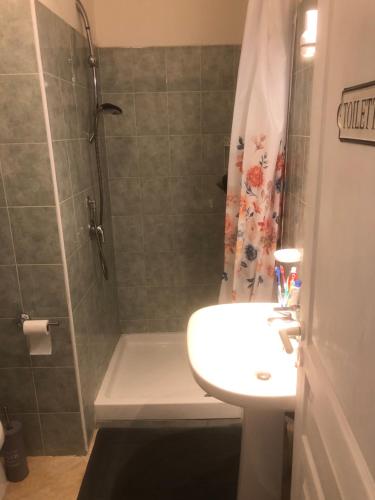 une salle de bain avec une douche et un lavabo et une douche dans l'établissement Bravone, à Linguizzetta
