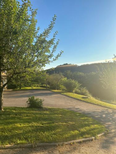 an empty parking lot with a tree and grass at green breeze in Žalec