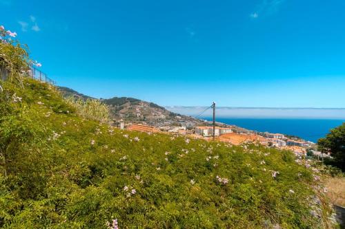 a hillside with flowers and the ocean in the background at GuestReady - Spacious stay with sea views in Caniço