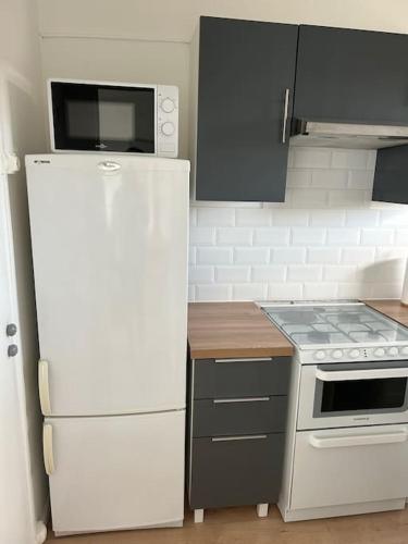 Il comprend une cuisine équipée d'un réfrigérateur blanc et d'une cuisinière. dans l'établissement Au parc, à Tourcoing