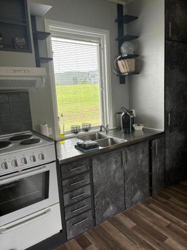 a kitchen with a stove and a sink and a window at Rödvattnet cottages in Rödvattnet