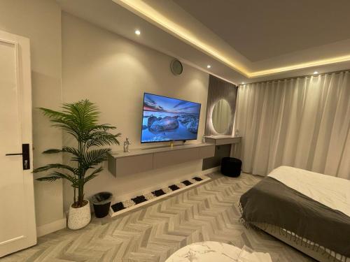 Télévision ou salle de divertissement dans l'établissement أستديو Studio Hiten- Boulevard