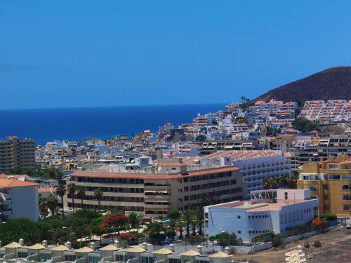 Φυσικό τοπίο κοντά σε αυτό το διαμέρισμα
