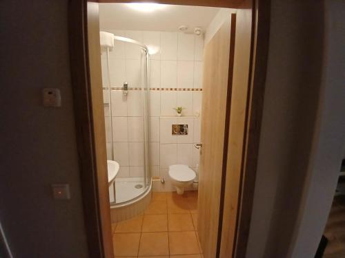 a bathroom with a shower and a toilet at Hotel Birnbaum in Ansbach