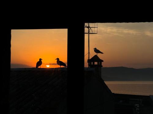two birds sitting on a building with the sunset in the background at Casa Real 43 in Finisterre