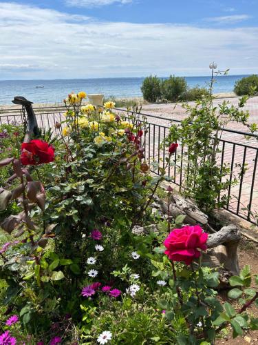 a garden of flowers with the beach in the background at Porto Maria Holiday Home in Yerakiní