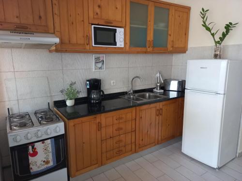 a kitchen with wooden cabinets and a white refrigerator at Brisa e Paz in Praia
