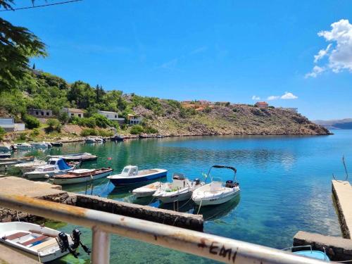 Foto dalla galleria di Rosemary Resort a Cesarica