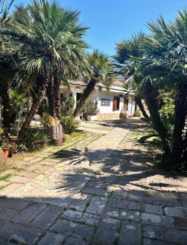 a house with palm trees in front of it at Appartamento in Villa con Terrazzo e Vista Golfo in Massa Lubrense