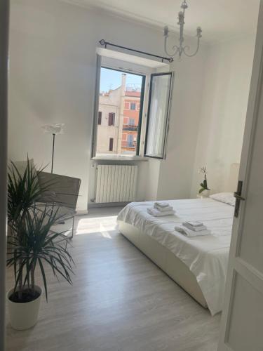 Colosseum Lindarella Home