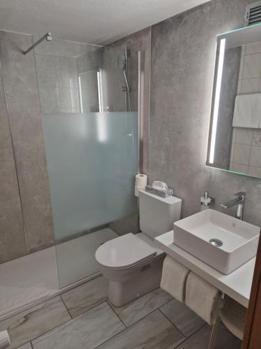 a bathroom with a toilet and a sink and a shower at dala Hotel & Apartments in Leukerbad