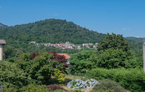 a town on top of a mountain with trees at 2 Bedroom Nice Home In Albagnano Di Bee in Bee
