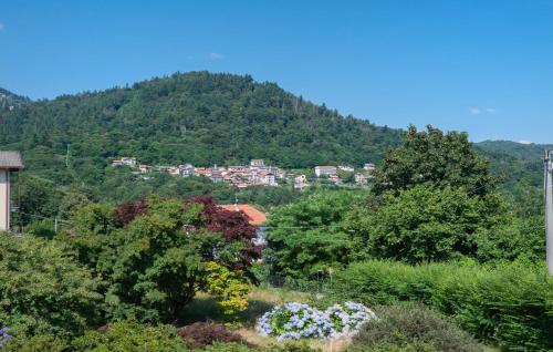 a town on top of a mountain with trees at Awesome Home In Albagnano Di Bee in Bee