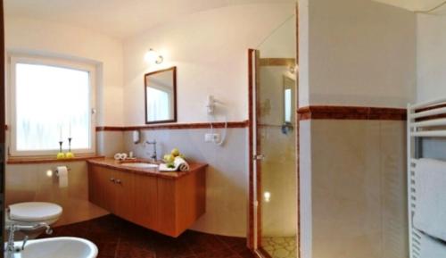 a bathroom with a shower and a sink and a mirror at Hotel Oberwirt in Feldthurns