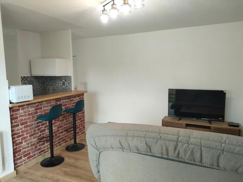 un salon avec un canapé et une télévision dans l'établissement T2 Toulouse Sud, à Toulouse