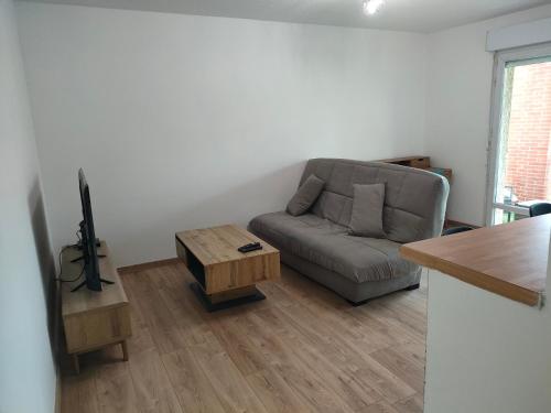 un salon avec un canapé et une table dans l'établissement T2 Toulouse Sud, à Toulouse