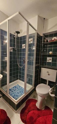 a bathroom with a shower and a toilet at Apartment 3 115 in Goslar