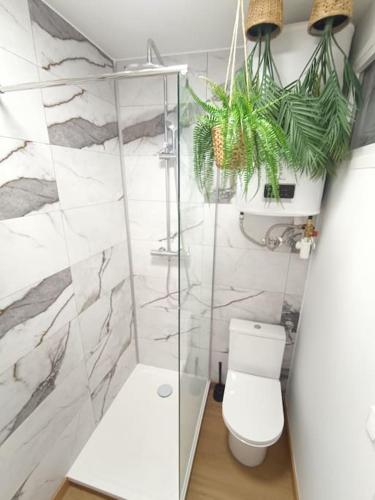 une salle de bain avec toilettes et douche en verre dans l'établissement Charmant studio centre-ville Montpellier, à Montpellier